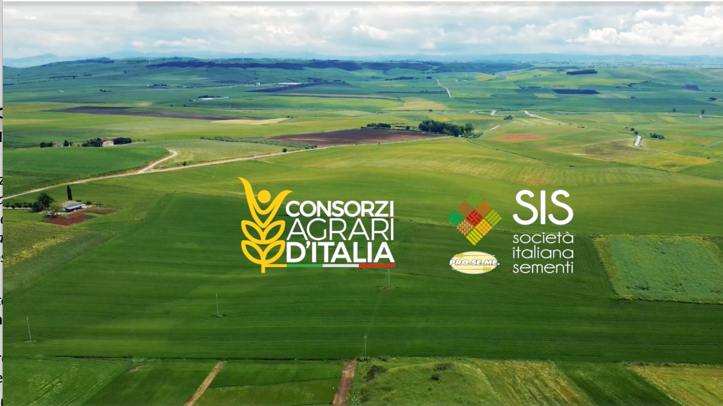 "Cereale Sicuro", il grande aiuto agli agricoltori di Consorzi Agrari d'Italia