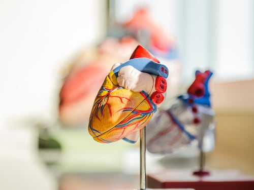Bristol Myers Squibb, con MyoKardia franchise cardiovascolare più forte