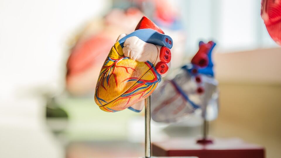 Bristol Myers Squibb, con MyoKardia franchise cardiovascolare più forte