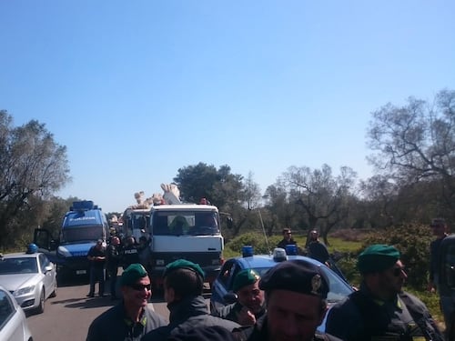 No Tap, riesplode la protesta: bloccati i camion con gli ulivi