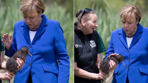 La Merkel (e un kiwi) in Nuova Zelanda 4