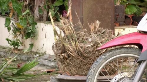 La Thailandia sconvolta dagli attacchi 13