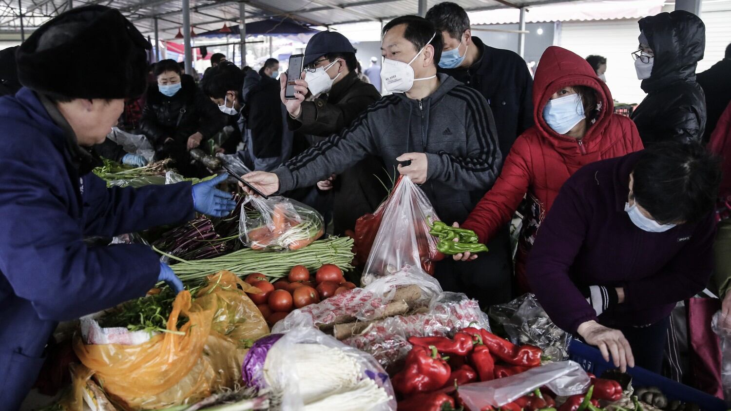 Perché il Coronavirus c'entra anche con l'ambiente
