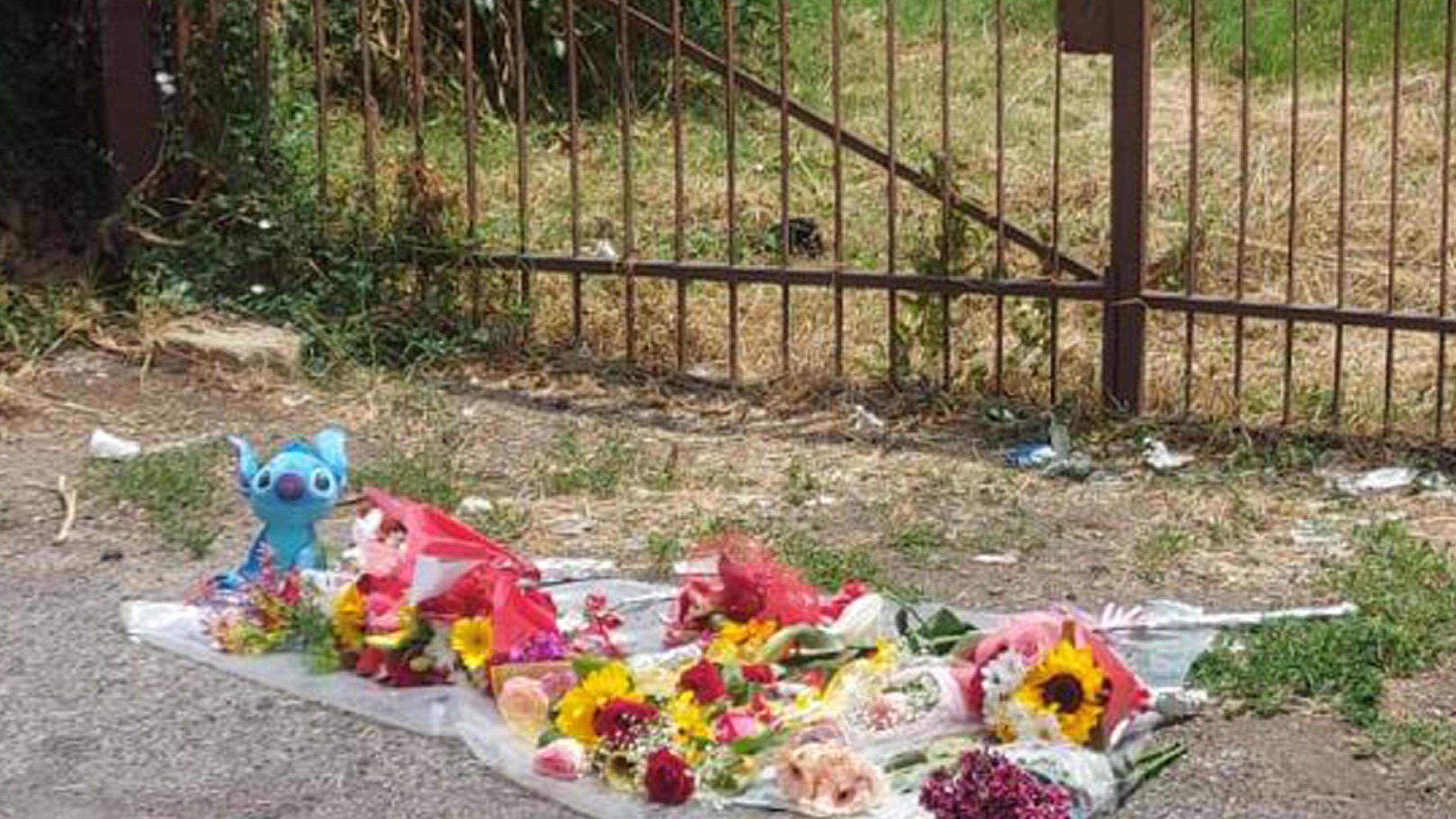 Droga, immigrazione irregolare, degrado: quel fil rouge tra Michelle e le altre