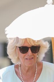 Il Principe Carlo e Camilla Parker Bowles: foto 7