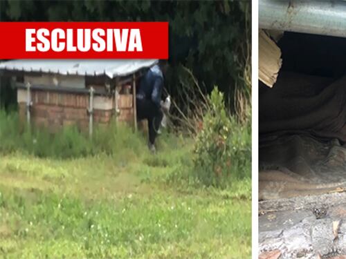 Spaccio e degrado al Colosseo. Il migrante con il cacciavite: "Prima o poi ci ammazzo qualcuno"