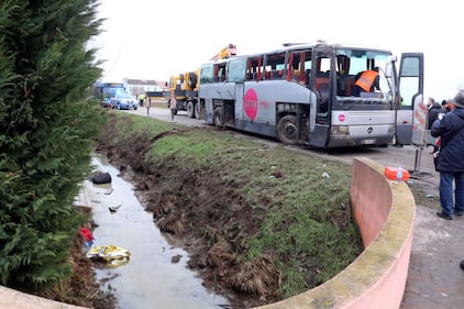 Mantova, scuolabus si ribalta in un fosso: paura per 50 bimbi 5