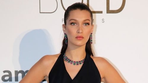 Bella Hadid, costume hot per Terry Richardson 22