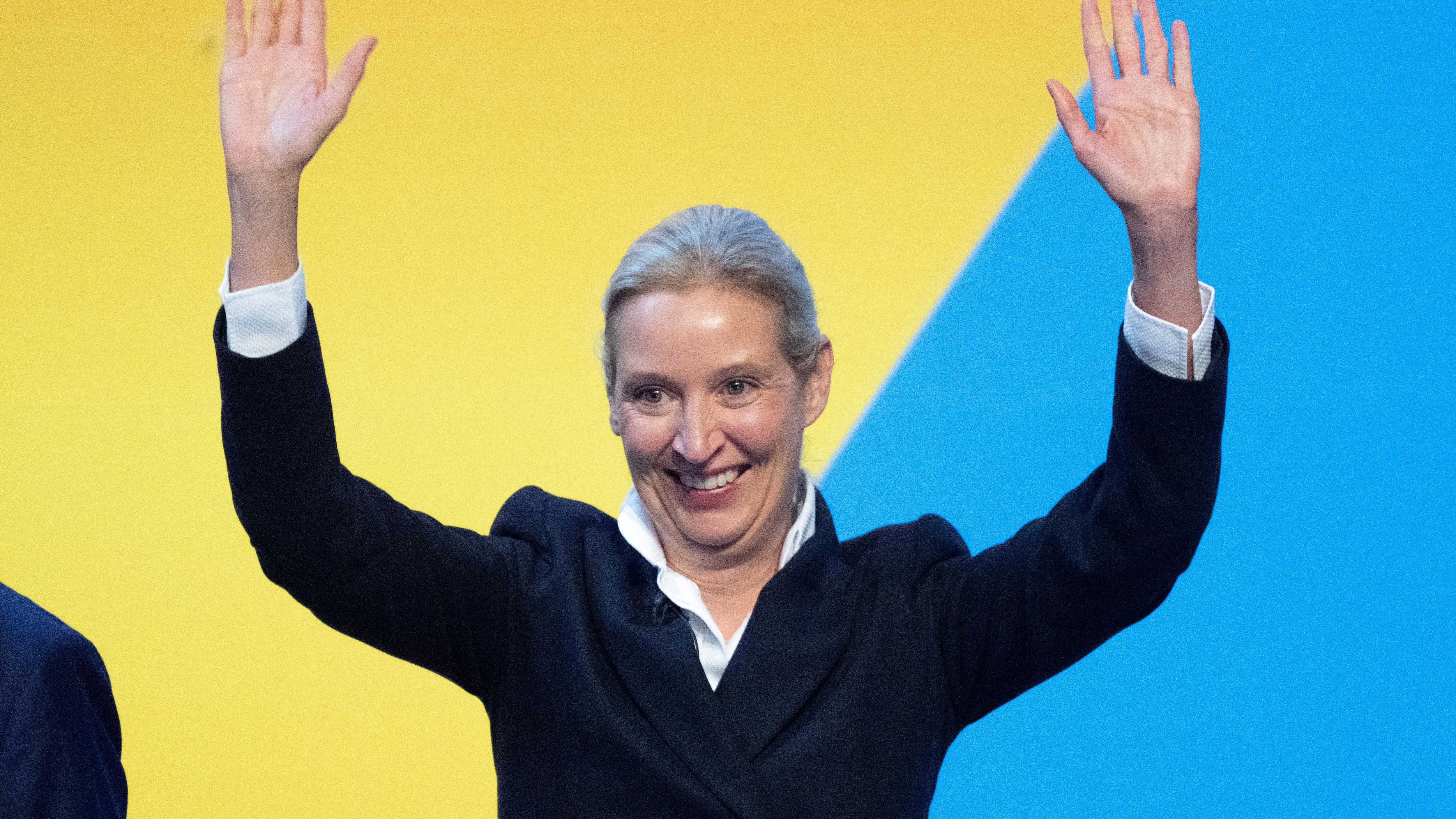 L'AfD lancia la sfida: "Guariremo noi la Germania"