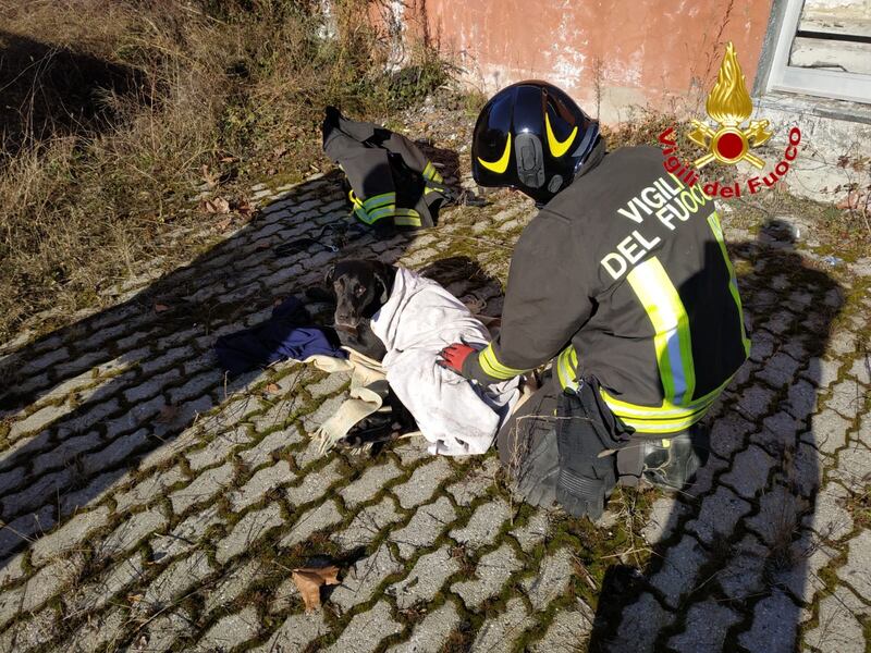 Varese, Thiago dopo essere stato recuperato 1