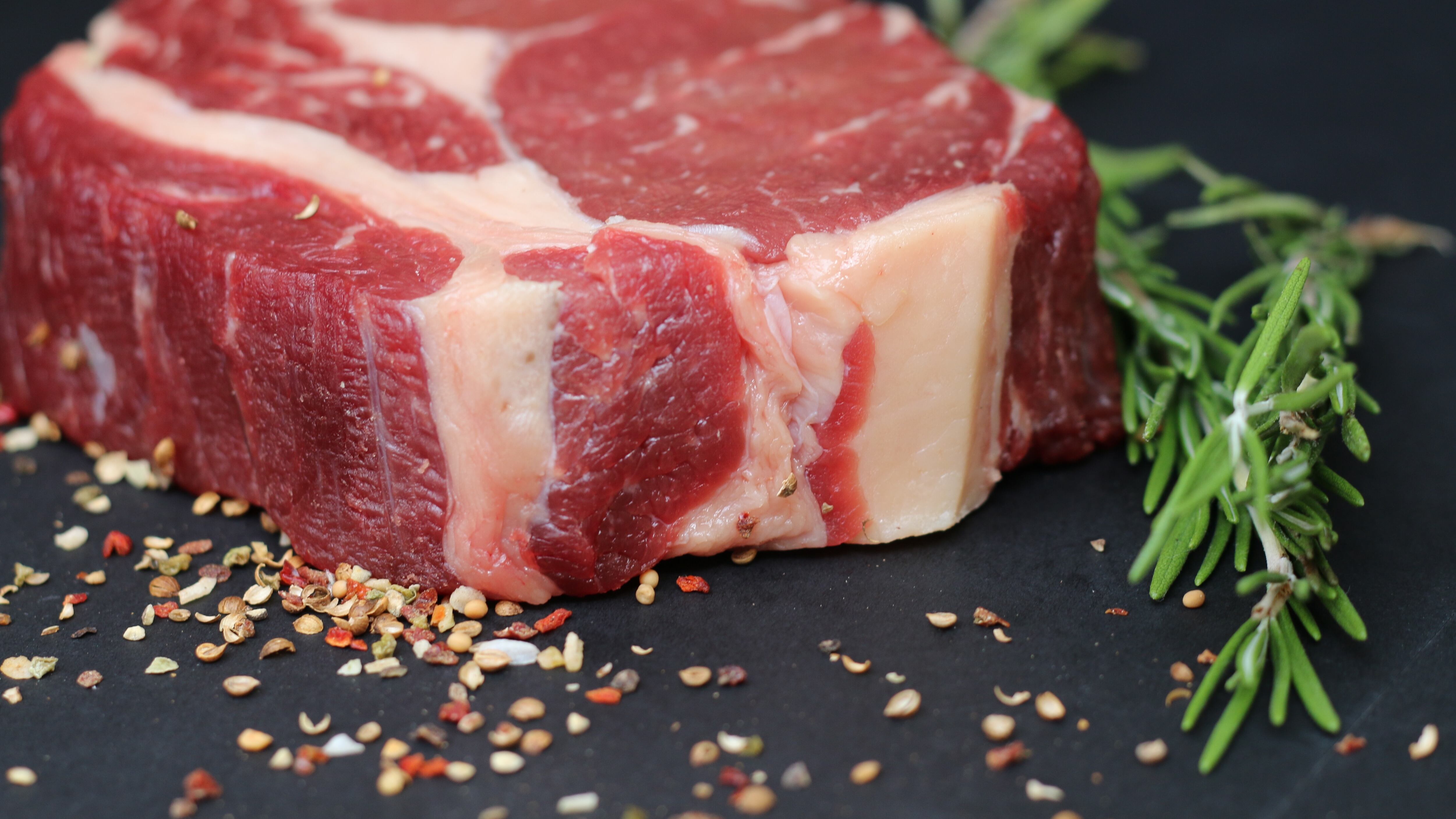 Contro emissioni e deforestazione ora arriva l'hamburger di proteine di microbi