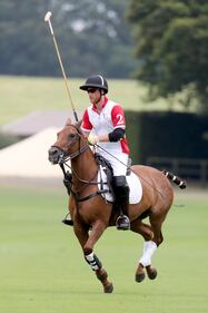 Meghan Markle e Archie alla partita di polo: foto 7