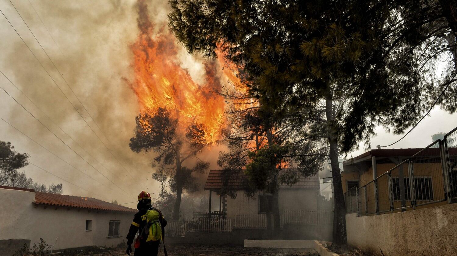 Grecia, 79 le vittime accertate e il governo: "Sono incendi dolosi"
