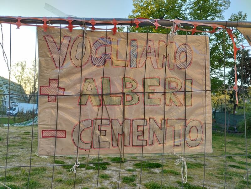 Appello al Comune per salvare gli alberi del giardino Lea Garofalo 6