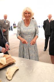 Il Principe Carlo e Camilla Parker Bowles: foto 2