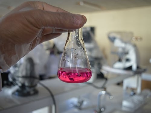Ecco la proteina usata dal virus per infettare le cellule sane