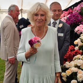 Il Principe Carlo e Camilla Parker Bowles: foto 3