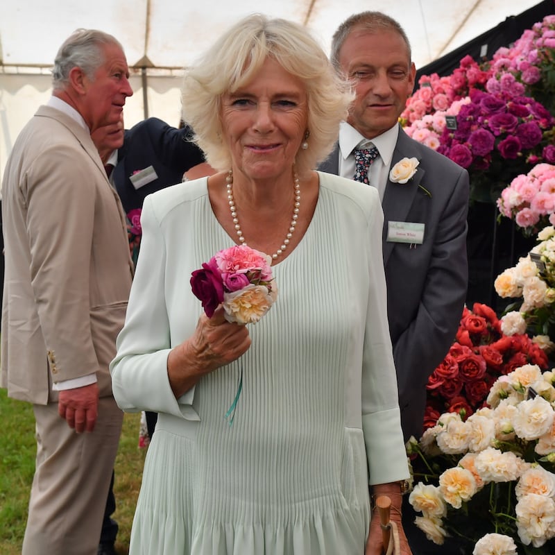 Il Principe Carlo e Camilla Parker Bowles: foto 3
