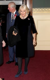 Il Principe Carlo e Camilla Parker Bowles: foto 4