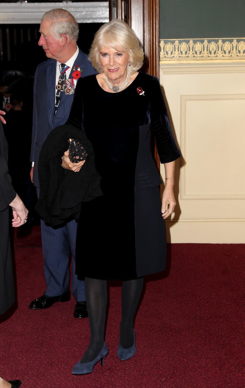 Il Principe Carlo e Camilla Parker Bowles: foto 4