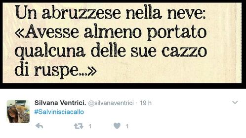 Abruzzo, gli attacchi a Salvini su Twitter 2