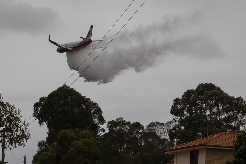 Incendi in Australia, le immagini della devastazione 10