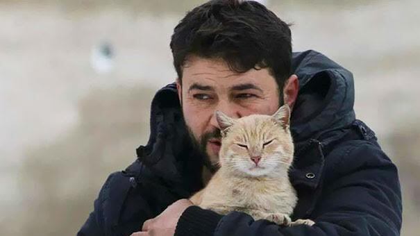 Guerra un po' meno triste grazie al gattaro di Aleppo