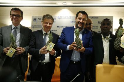 Salvini e l'ananas al seminario di Confcooperative 3