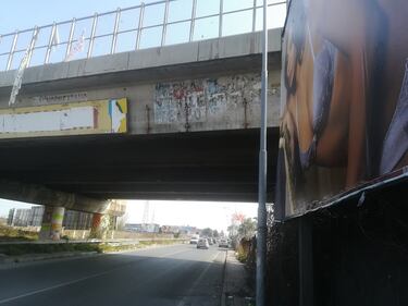 Ponti 14