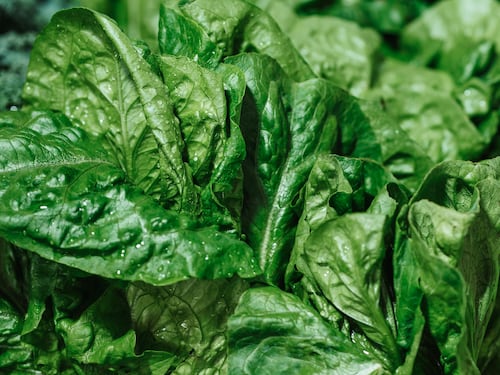 Spinaci, il superfood che contrasta la stanchezza