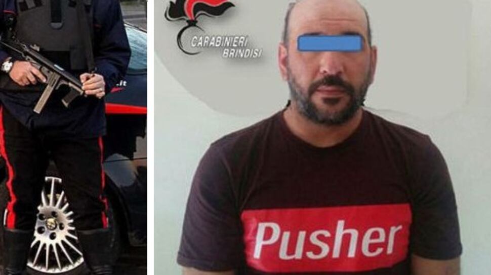 Quando il topo d'appartamento si rivela un pollo