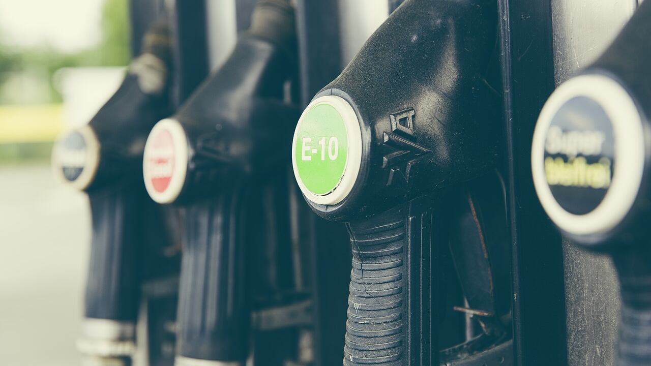 Se feci e letame saranno la benzina di domani