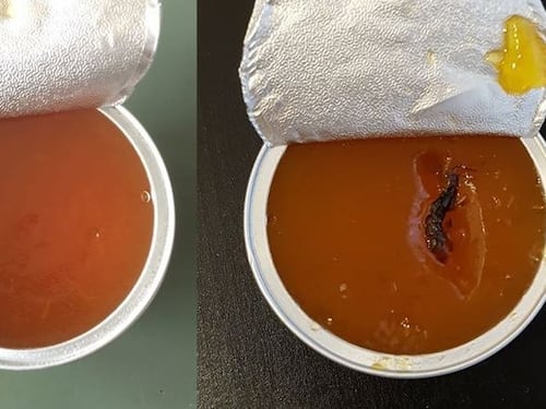 Allarme nelle scuole di Milano: "Ci sono i vermi nella marmellata"