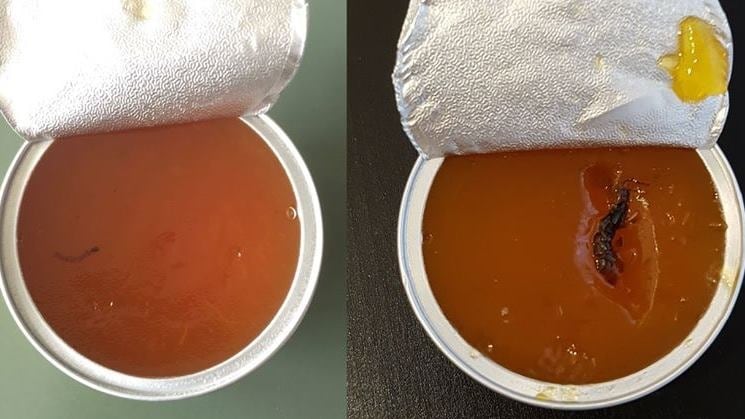 Allarme nelle scuole di Milano: "Ci sono i vermi nella marmellata"