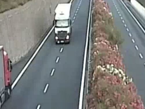 Camionista romeno ubriaco viaggia per tre chilometri contromano sull'A10