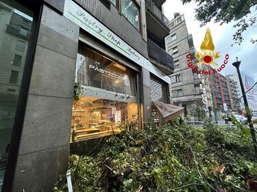 Maltempo a Milano, alberi caduti