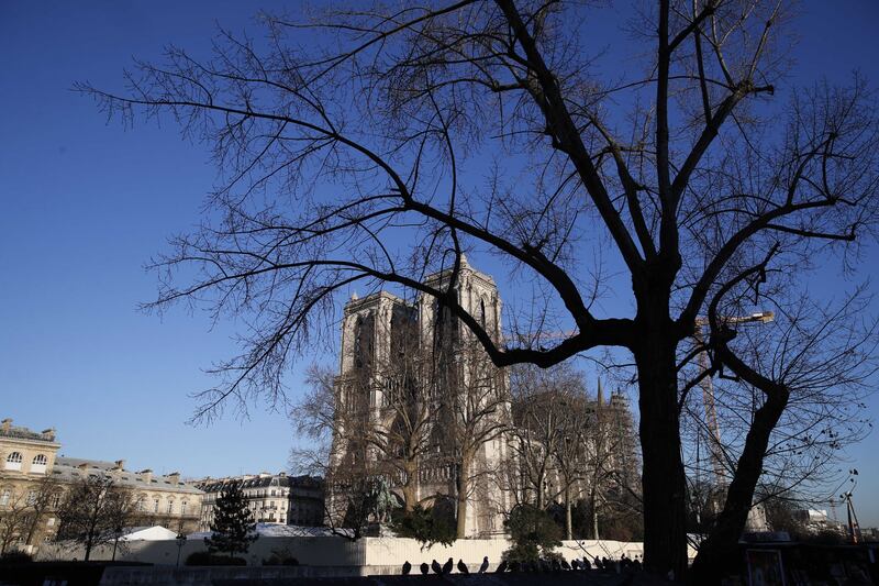 I lavori della Cattedrale di Notre Dame 4