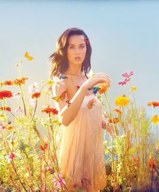 I mille volti di Katy Perry: foto 4