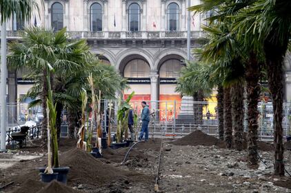 I banani arrivano in piazza Duomo 13
