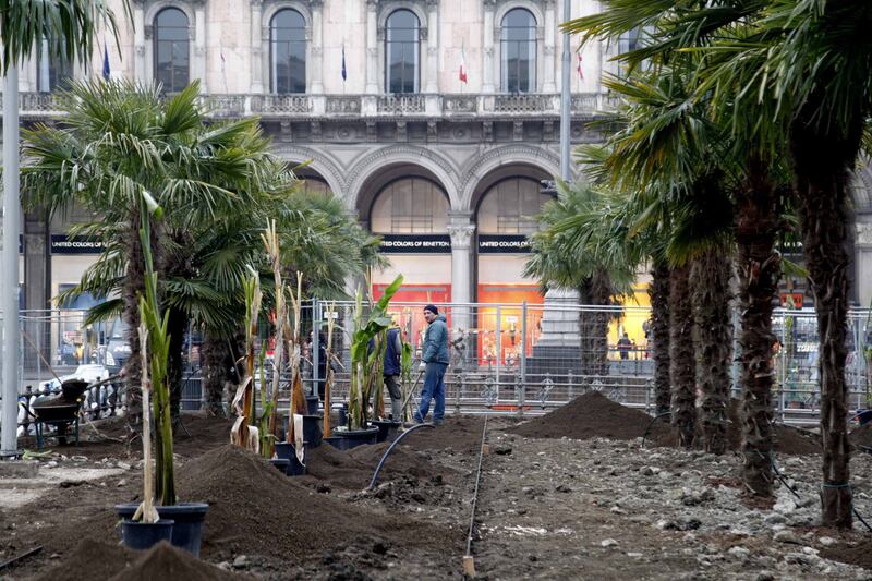 I banani arrivano in piazza Duomo 13