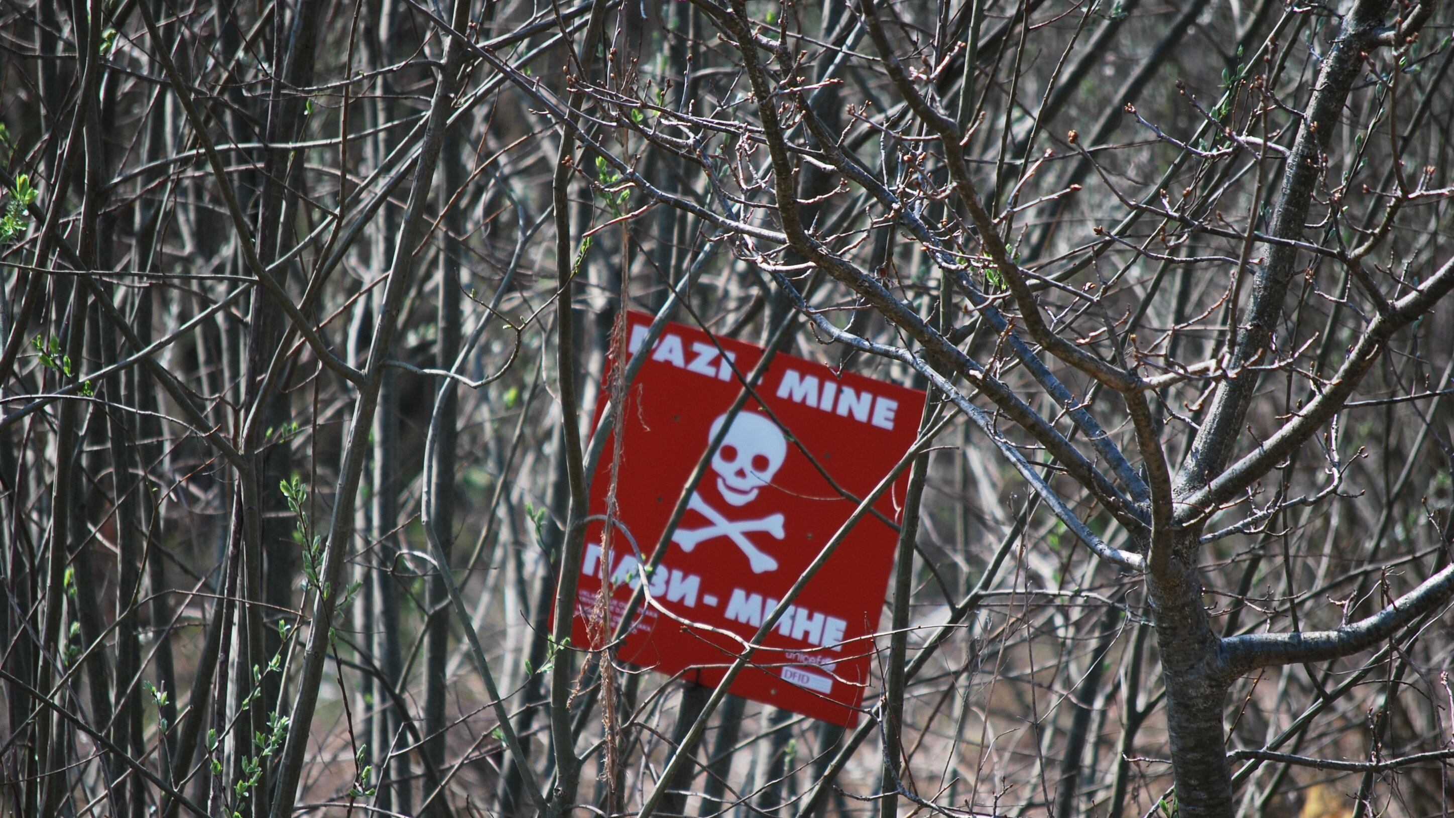 Morto Magawa il topo eroe che ha scovato oltre 100 mine