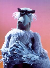 I Muppet 18