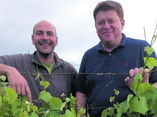 I vini “Pievalta” Federico II e Castelli di Jesi