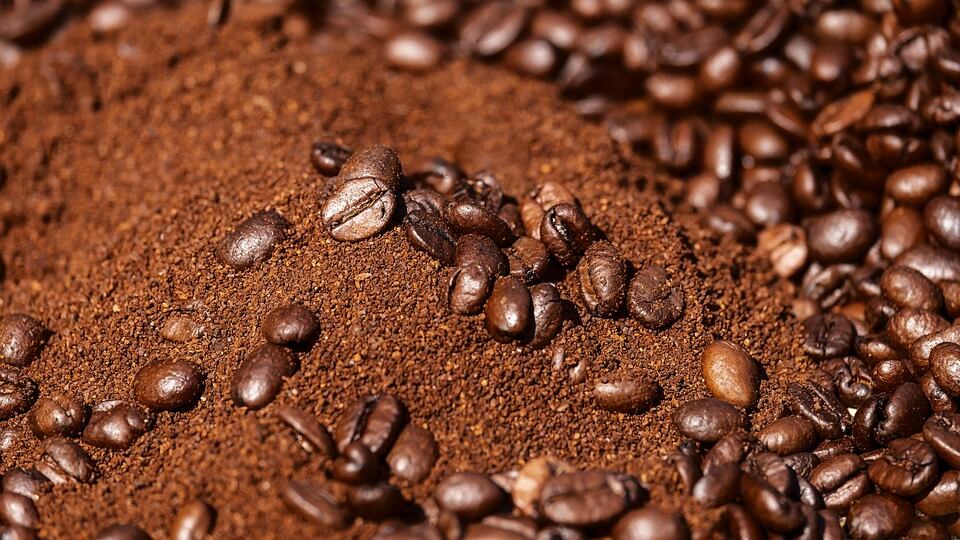 Tartassato dal fisco, scompare in India il "signore" del caffè