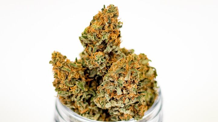 Roma, girava con una borsa firmata piena di marijuana
