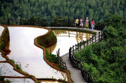 Lo spettacolo dei campi terrazzati in Cina 13