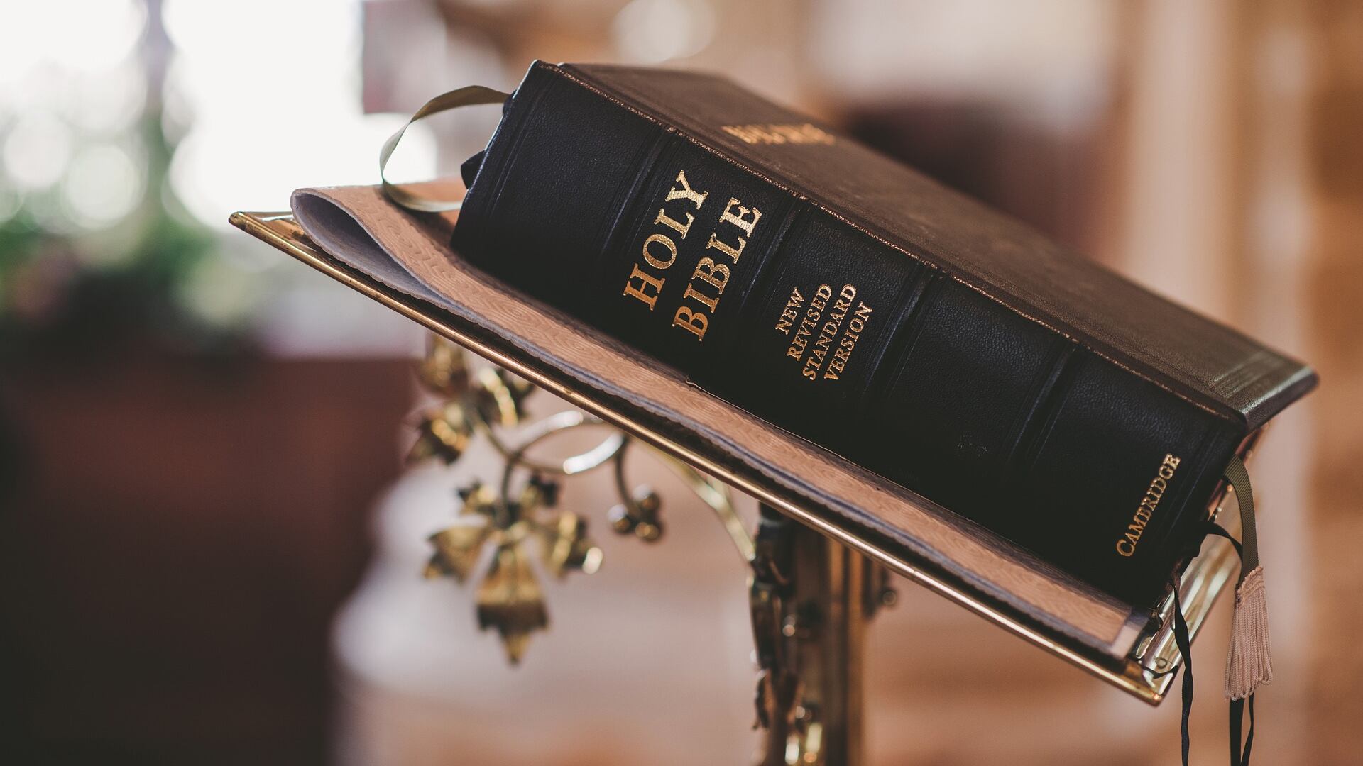 In Texas la Bibbia entra nelle letture obbligatorie a scuola