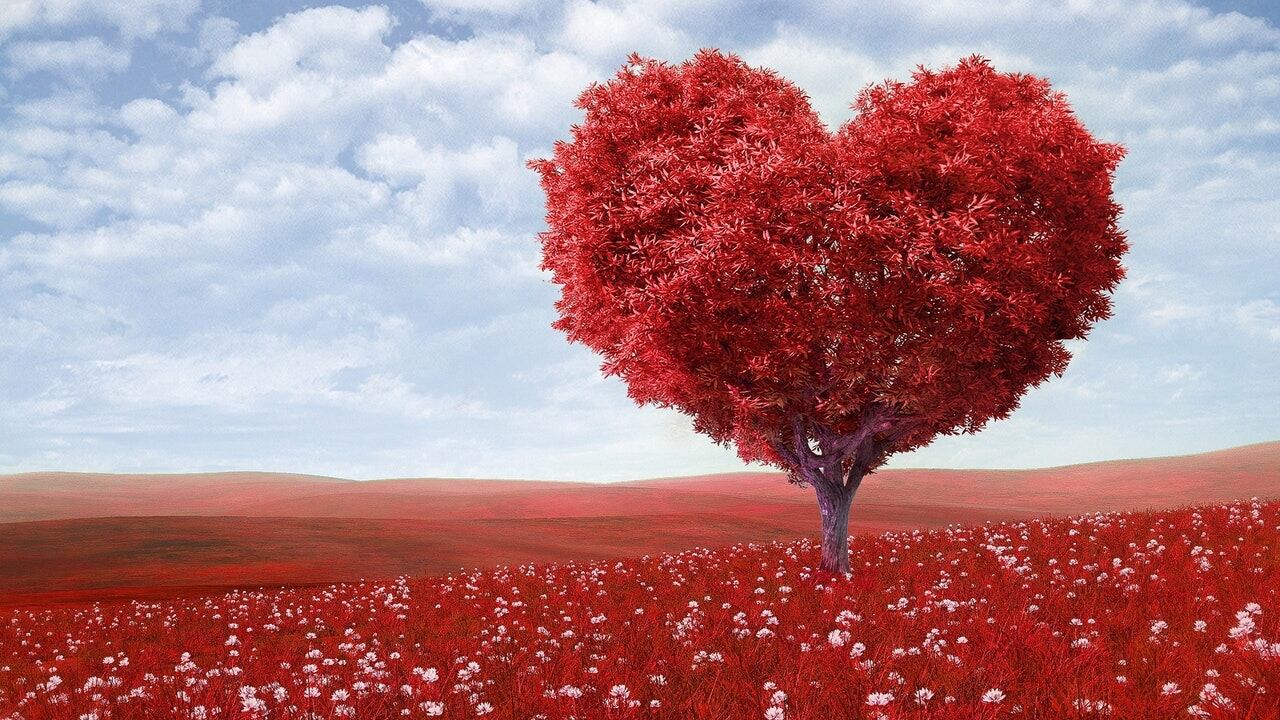 Infarto, nelle donne spesso è prevenibile