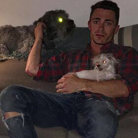 Colton Haynes: foto 8