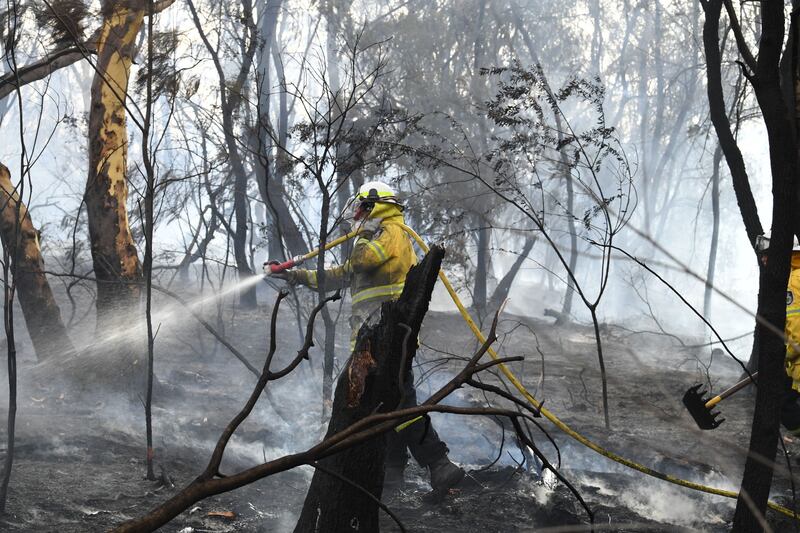 L'Australia minacciata dagli incendi: è emergenza 17